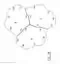Fig. 03 - Artificial flagstone for providing a surface with a natural random look