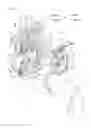 Fig. 04 - Motor vehicle door latch device