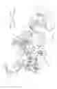 Fig. 05 - Motor vehicle door latch device