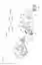 Fig. 18 - Motor vehicle door latch device