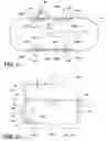 Fig. 03 - Priority driven power side door open/close operations