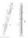 Fig. 02 - Downhole force generating tool