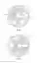 Fig. 04 - Downhole vibratory apparatus