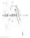 Fig. 11 - Riser fluid handling system