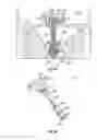 Fig. 07 - Borescope plug