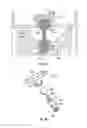 Fig. 10 - Borescope plug