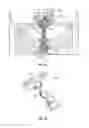 Fig. 12 - Borescope plug