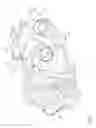 Fig. 03 - Internal combustion machine, motor vehicle, and method for operating a motor vehicle