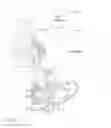 Fig. 08 - Internal combustion machine, motor vehicle, and method for operating a motor vehicle