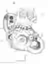 Fig. 01 - ACCESSORY MOUNTING STRUCTURE FOR ENGINE