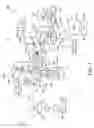 Fig. 02 - Exhaust emission control system of engine