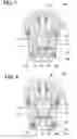 Fig. 07 - Fuel injector and method for manufacturing fuel injector
