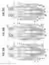 Fig. 19 - Fuel injector and method for manufacturing fuel injector