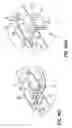 Fig. 29 - Clip Assembly For Use Holding Sinuous Springs