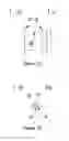 Fig. 07 - Single-groove and short-tail pulling rivet and erection method thereof