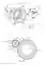 Fig. 09 - Vehicle braking systems with automatic slack adjusters