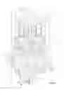 Fig. 02 - Regulable vibration damper