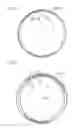 Fig. 05 - Planetary gear device with inward flange having recesses