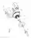 Fig. 03 - Actuation unit for controlling the angular position of a control member, particularly for a vehicle transmission
