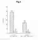 Fig. 09 - Piston assembly
