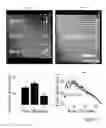 Fig. 09 - Method and system for pre-programmed self-power microfluidic circuits