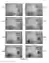 Fig. 22 - Method and system for pre-programmed self-power microfluidic circuits