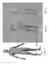 Fig. 02 - Virtual testing model for use in simulated aerodynamic testing