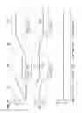 Fig. 12 - Device for the analysis of an anesthesia ventilation gas as well as anesthesia ventilator