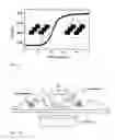 Fig. 02 - Nanoplasmonic imaging technique for the spatio-temporal mapping of single cell secretions in real time