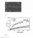 Fig. 05 - Nanoplasmonic imaging technique for the spatio-temporal mapping of single cell secretions in real time