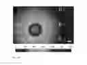 Fig. 06 - Nanoplasmonic imaging technique for the spatio-temporal mapping of single cell secretions in real time