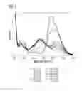 Fig. 02 - METHOD FOR OPTICALLY DETERMINING AT LEAST ONE ANALYTE IN A SAMPLE