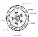 Fig. 01 - Rotors for immunoassays