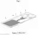 Fig. 02 - Reagent zone deposition pattern