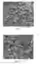 Fig. 02 - Guanidine-functionalized perlite particles, articles containing the particles, and methods of using the particles and articles