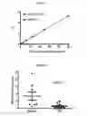 Fig. 02 - 13+/17+ BIN1 expression as a marker of cardiac disorders