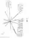 Fig. 09 - Facilitation of communication using shared visual cue