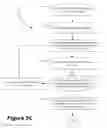 Fig. 10 - Controlling transitions in optically switchable devices