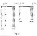 Fig. 06 - Systems and methods for asymmetrical formatting of word spaces according to the uncertainty between words