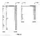 Fig. 07 - Systems and methods for asymmetrical formatting of word spaces according to the uncertainty between words