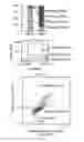 Fig. 08 - Methods for global RNA-chromatin interactome discovery