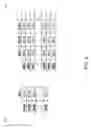 Fig. 09 - Algorithm, data pipeline, and method to detect inaccuracies in comorbidity documentation