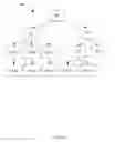Fig. 04 - Apparatus and method for producing a medical report