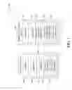 Fig. 02 - REMOTE CONTROL OF A MOBILE COMPUTING DEVICE WITH AN AUXILIARY DEVICE