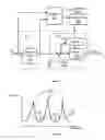 Fig. 03 - Speaker recognition with assessment of audio frame contribution