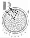 Fig. 06 - NUCLEAR FUEL CONTAINING A NEUTRON ABSORBER MIXTURE
