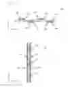 Fig. 07 - Transformer