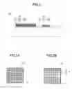 Fig. 03 - ELECTRONIC DEVICE AND MANUFACTURING METHOD OF ELECTRONIC DEVICE