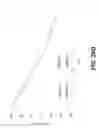 Fig. 41 - Lithium complex oxide for lithium secondary battery positive active material and method of preparing the same