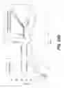 Fig. 46 - Lithium complex oxide for lithium secondary battery positive active material and method of preparing the same
